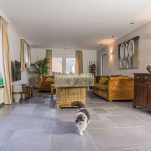 Chateau Carreau Dallen in de woonkamer
